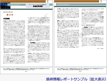 銘柄情報レポートサンプル